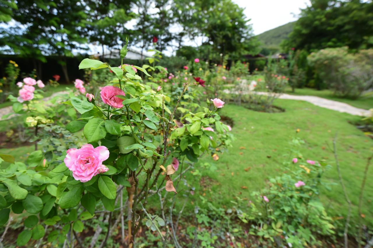 Rose Villa Hote Пак-Чонг Екстер'єр фото